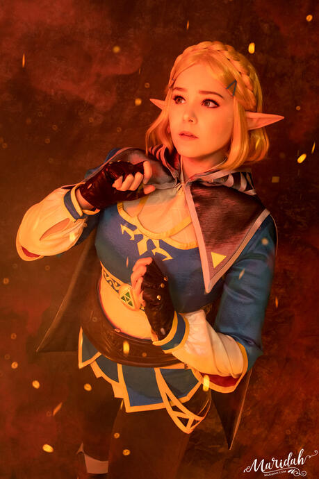 Zelda (Tears of the Kingdom)